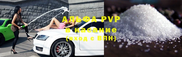 ГАЛЛЮЦИНОГЕННЫЕ ГРИБЫ Козловка