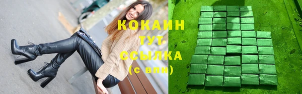 ГАЛЛЮЦИНОГЕННЫЕ ГРИБЫ Козловка