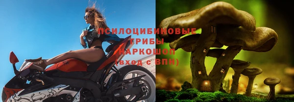 бошки Козельск