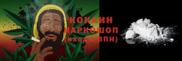 бошки Козельск