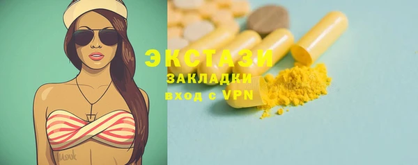 ГАЛЛЮЦИНОГЕННЫЕ ГРИБЫ Козловка