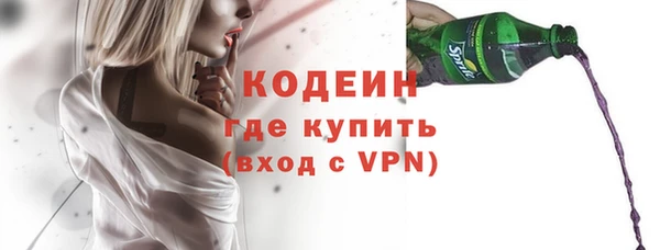 ГАЛЛЮЦИНОГЕННЫЕ ГРИБЫ Козловка