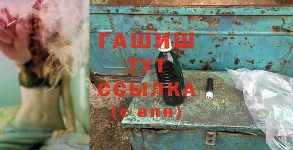 ГАЛЛЮЦИНОГЕННЫЕ ГРИБЫ Козловка