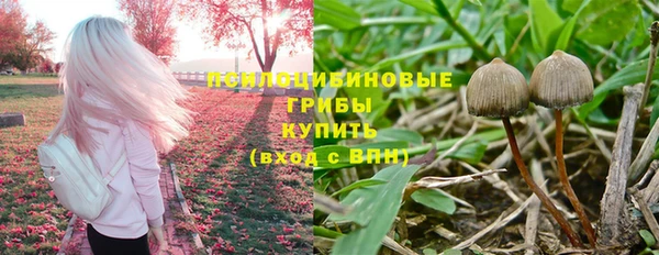 кристаллы Кодинск
