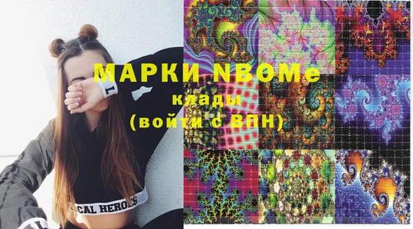 ГАЛЛЮЦИНОГЕННЫЕ ГРИБЫ Козловка