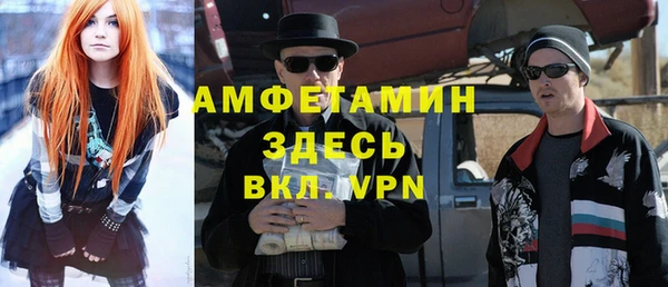 ГАЛЛЮЦИНОГЕННЫЕ ГРИБЫ Козловка