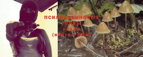 бошки Козельск