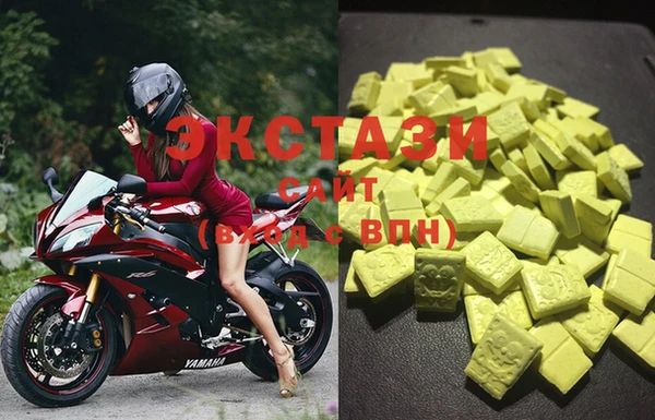 ГАЛЛЮЦИНОГЕННЫЕ ГРИБЫ Козловка
