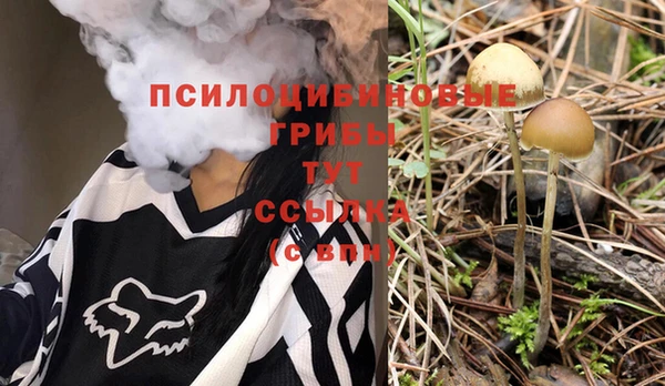 ГАЛЛЮЦИНОГЕННЫЕ ГРИБЫ Козловка