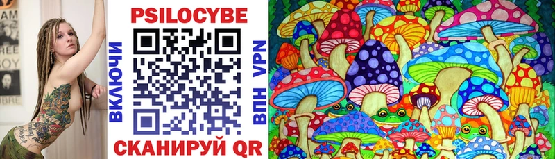 Купить закладки  Катайск  Галлюциногенные грибы мухоморы 